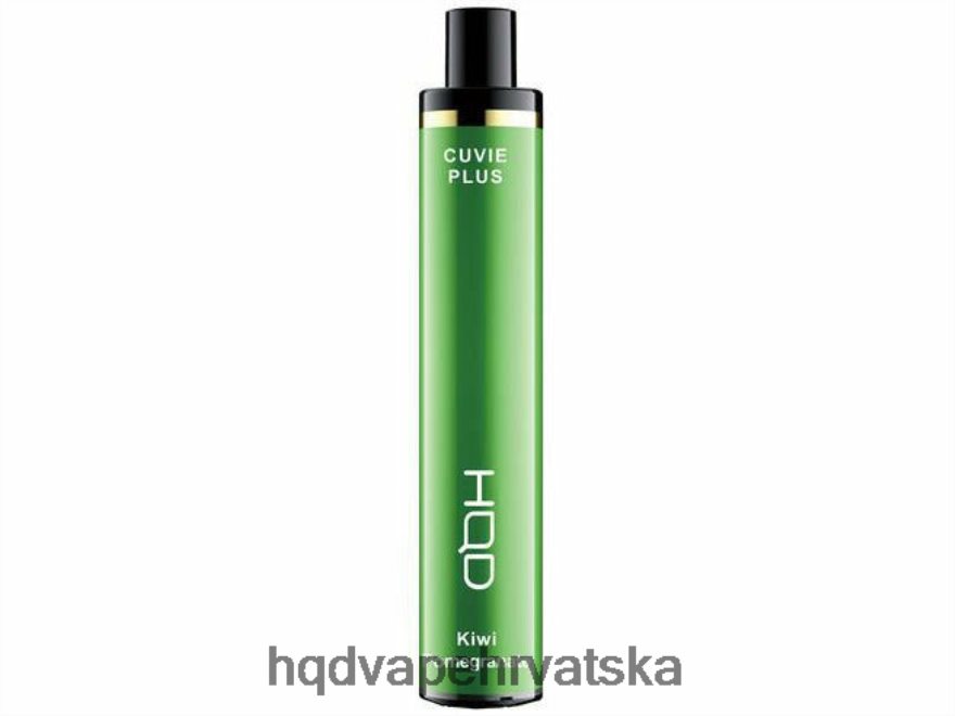 kivi šipak
