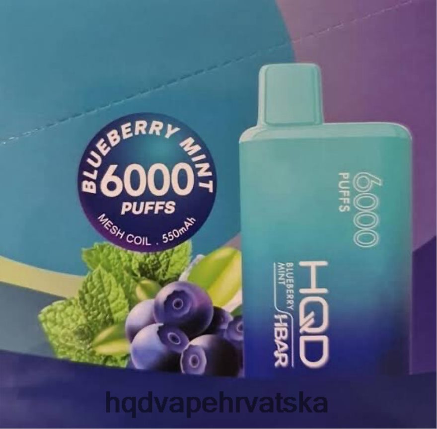 HQD HBAR 6000 udaha borovnica menta 82486Z51 | HQD HRVATSKA
